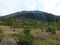 11.08.2012 18:44:41
11.08.2012 
Munții Călimani
Rumänien 2012
Rumänien