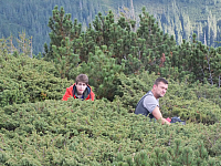 11.08.2012 17:33:01
Familie Irinel Ştambert
Rumänien 2012
Rumänien
Galerie