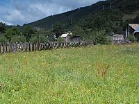 12.08.2012 12:43:29
Familie Irinel Ştambert
Rumänien 2012
Rumänien
Galerie