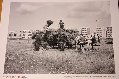 © <a class='unglow' target='_blank' href='https://de.wikipedia.org/wiki/Harry_Hardenberg'>Harry Hardenberg</a>
16.10.2015 23:05:30
Stralsund, wie es gestern war
Galerie