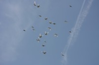 12.06.2015 16:40:36
Friedensfest 2015
Grundschule Garching West
Garching
Galerie