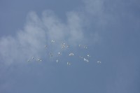 12.06.2015 16:44:23
Friedensfest 2015
Grundschule Garching West
Garching
Galerie