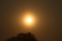 25.04.2013 19:34:02
Kuhschellen
Garchinger Umland
Garching
Galerie