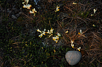 25.04.2013 19:45:49
Kuhschellen
Garchinger Umland
Garching
Galerie