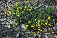 25.04.2013 19:48:48
Kuhschellen
Garchinger Umland
Garching
Galerie