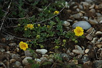 25.04.2013 19:49:34
Kuhschellen
Garchinger Umland
Garching
Galerie