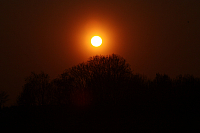 25.04.2013 19:52:18
Kuhschellen
Garchinger Umland
Garching
Galerie