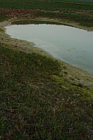 25.04.2013 20:04:31
Kuhschellen
Garchinger Umland
Garching
Galerie