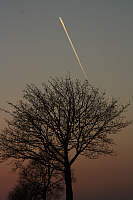 25.04.2013 20:16:09
Kuhschellen
Garchinger Umland
Garching
Galerie