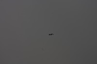 10.09.2014 15:51:31
Der Habichtweg bei Eicherloh
Garchinger Umland
Garching
Galerie