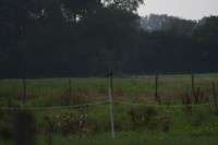 10.09.2014 15:54:00
Der Habichtweg bei Eicherloh
Garchinger Umland
Garching
Galerie