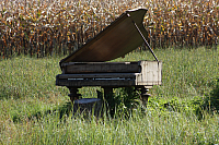 25.09.2016 16:14:39
Tipiplatz/Schrottkirche
Langwied
Garchinger Umland
Garching