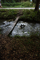25.09.2016 16:36:53
Tipiplatz/Schrottkirche
Langwied
Garchinger Umland
Garching